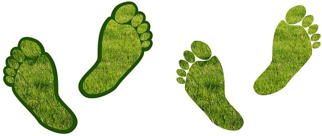 artificial turf
