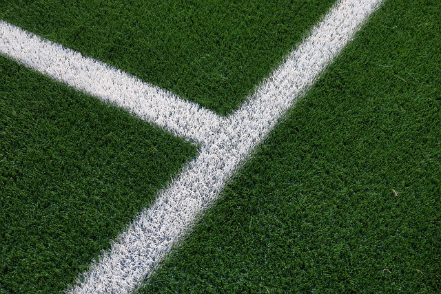 artificial-turf-640x480-94552090.jpeg