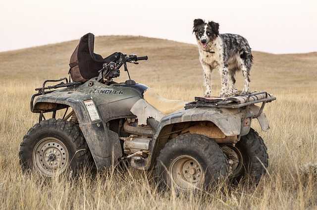 atv-640x480-13301268.jpeg
