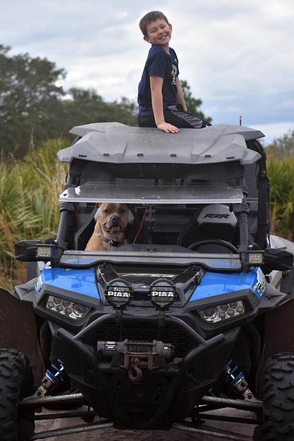 ATV