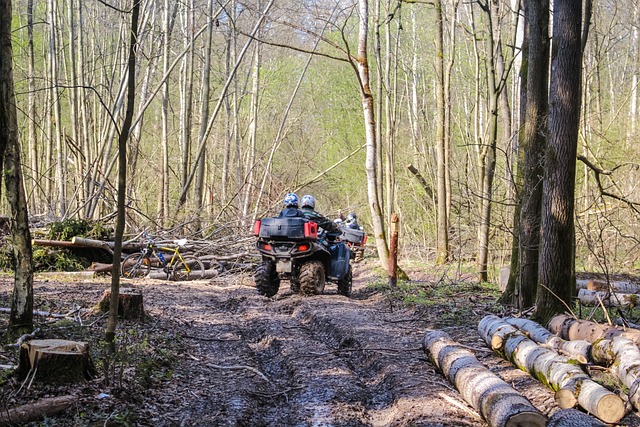 ATV