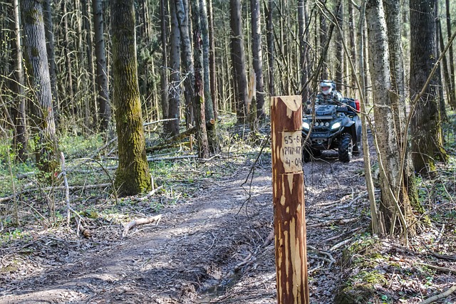 atv-640x480-78085822.jpeg