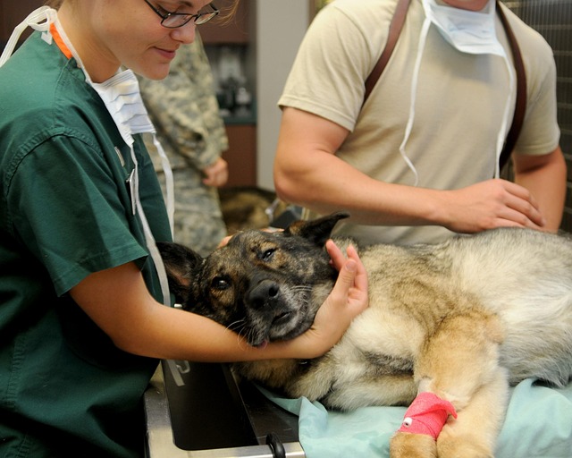 clinic-640x480-54562798.jpeg