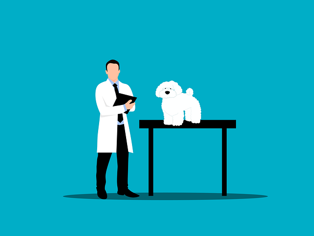 clinic