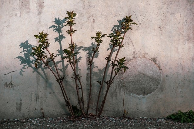 colored concrete