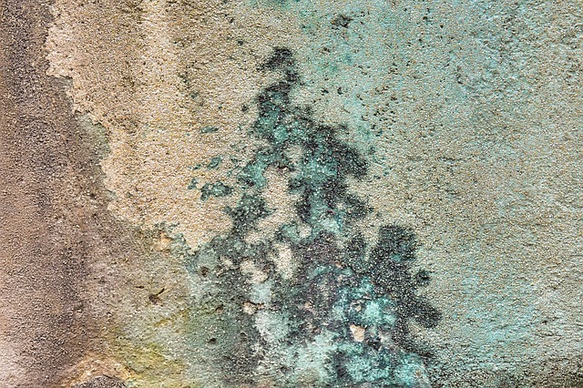 concrete