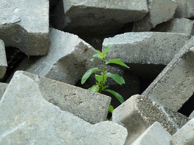 concrete paver block