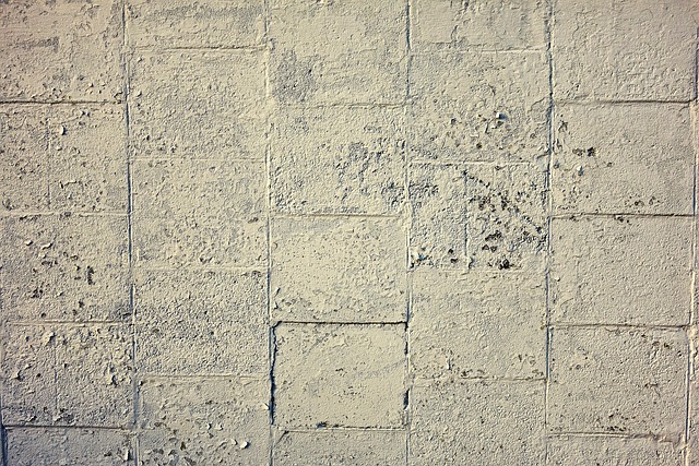 concrete paver block