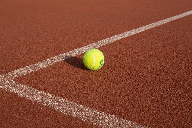 Top-Rated Probate Lawyers in Olympia, WA: Navigating Wills & Trusts