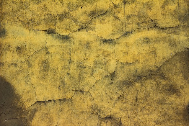 decorative concrete