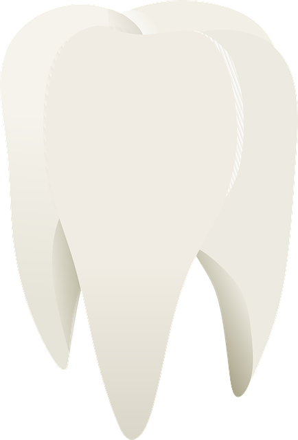doctor-640x480-56942704.png