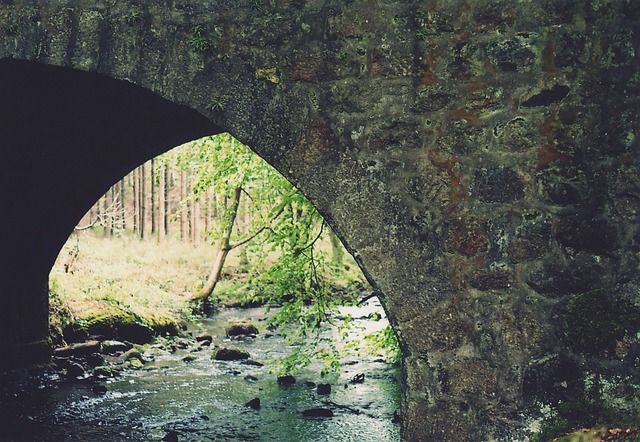 drainage