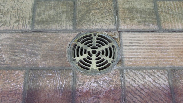 drainage