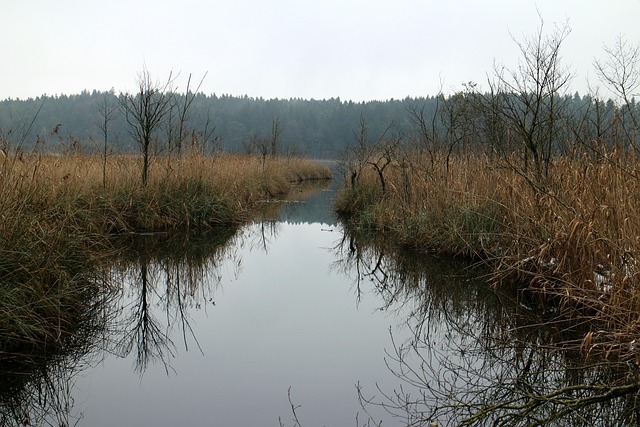 drainage