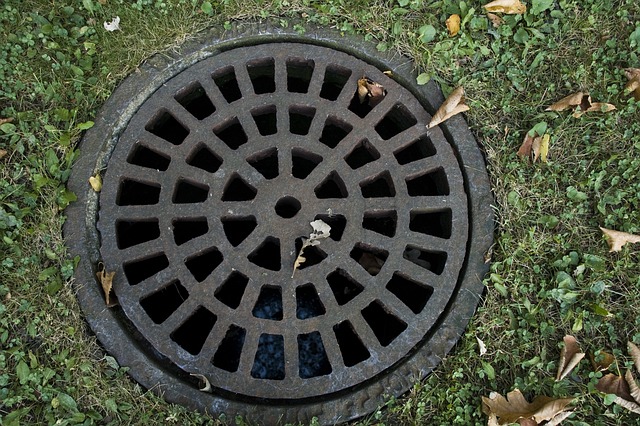 drainage