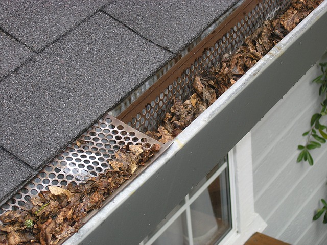 drainage
