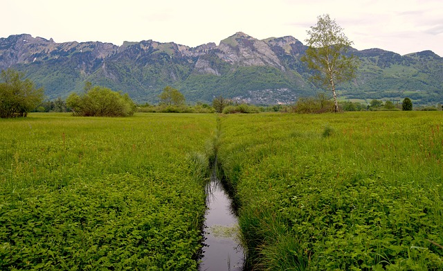 drainage-640x480-48597833.jpeg