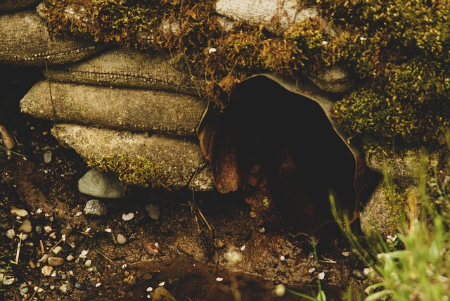 drainage-640x480-53268046.jpeg