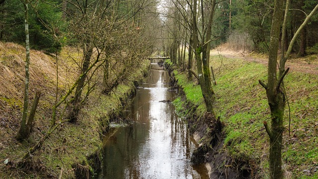 drainage