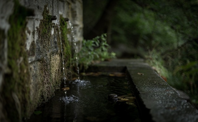 drainage