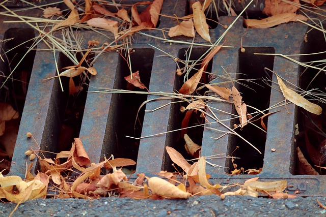 drainage