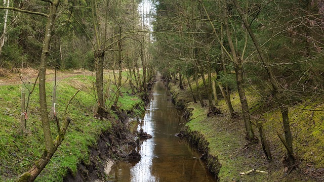 drainage