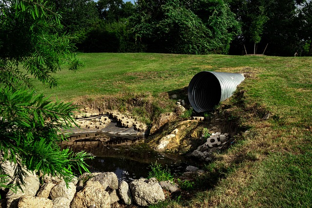 drainage