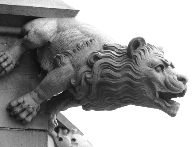 drainage