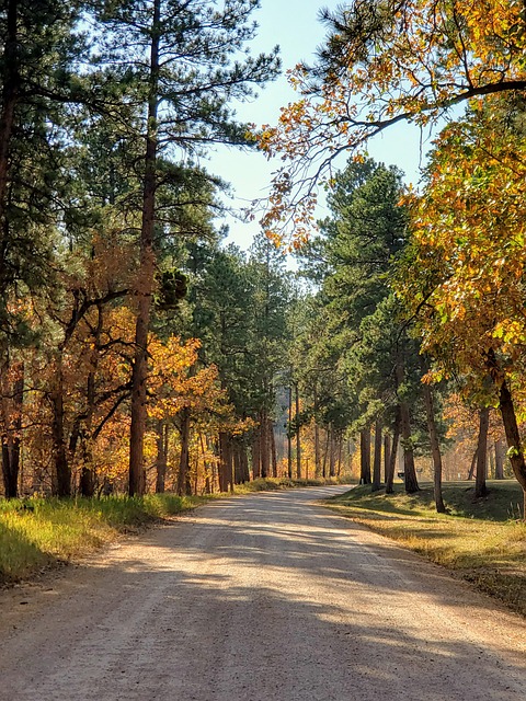 driveway-640x480-12037597.jpeg