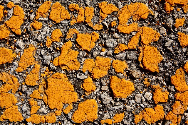 driveway-640x480-13483249.jpeg