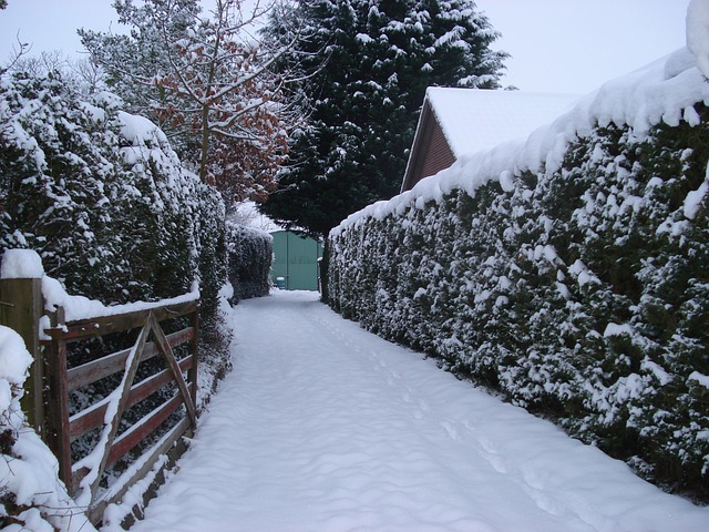 driveway