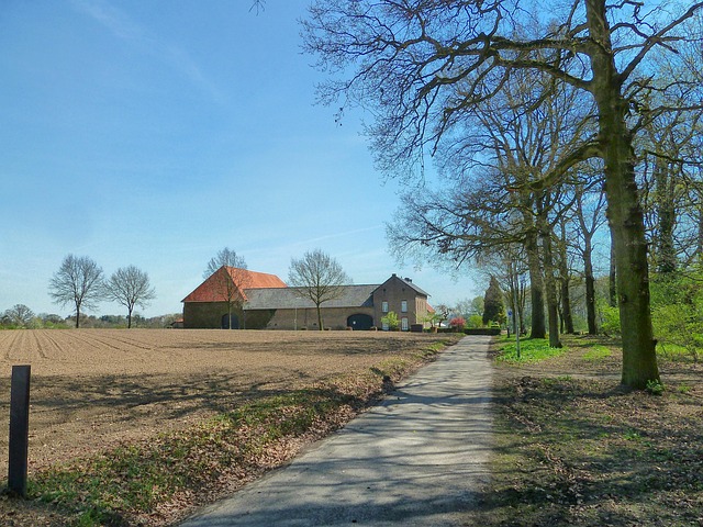 driveway-640x480-6443317.jpeg