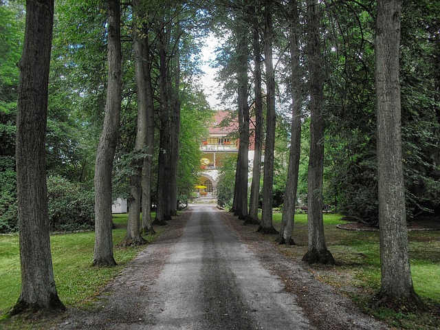 driveway