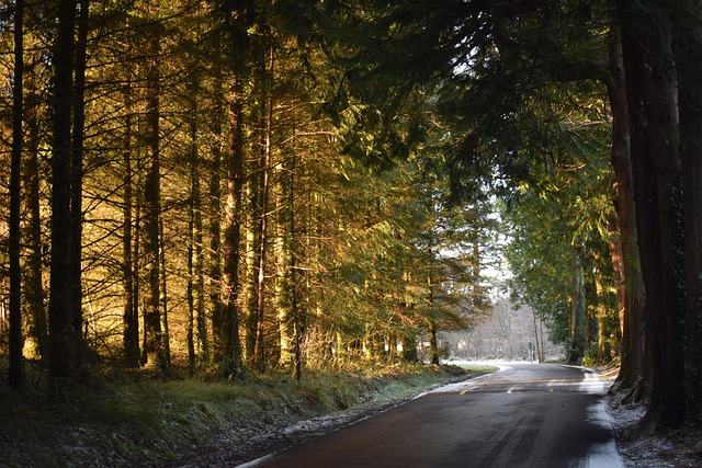 driveway-640x480-81066489.jpeg