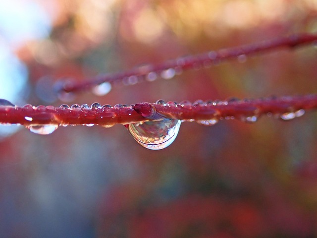 iv-drip-640x480-18180485.jpeg