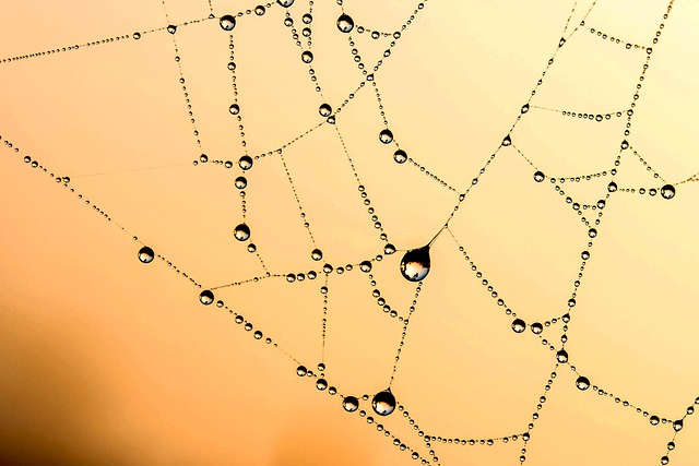 iv-drip-640x480-21832215.jpeg