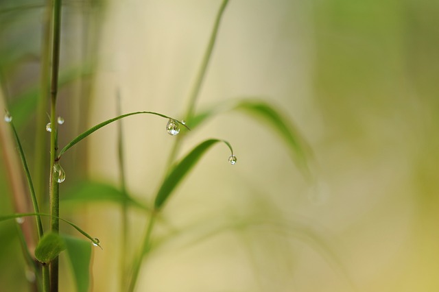 iv-drip-640x480-26581408.jpeg