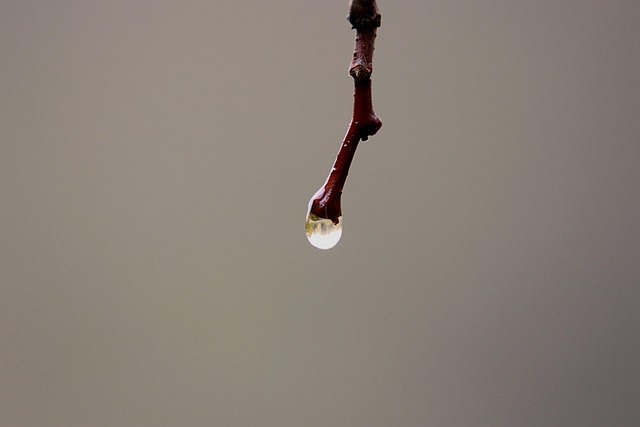 IV drip