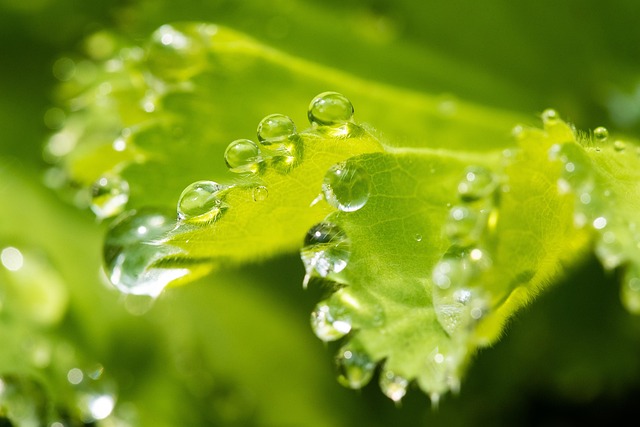 iv-drip-640x480-4724740.jpeg