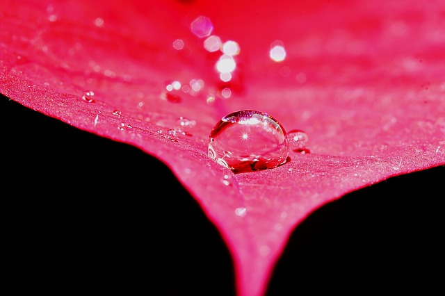iv-drip-640x480-49112461.jpeg
