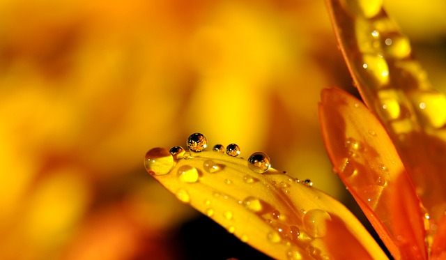 iv-drip-640x480-50053425.jpeg