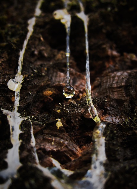 iv-drip-640x480-5031893.jpeg