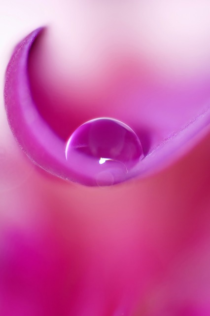 iv-drip-640x480-54988470.jpeg