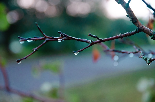 iv-drip-640x480-55010014.jpeg