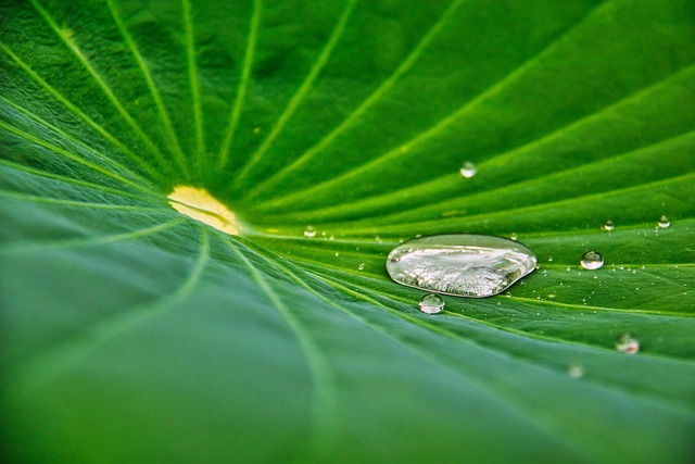 Unlocking Vitality: 10 Pass Ozone Therapy in Portland, OR