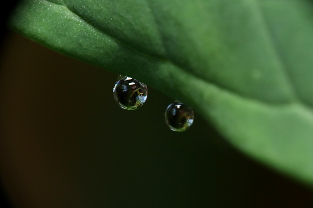 iv-drip-640x480-76785661.jpeg