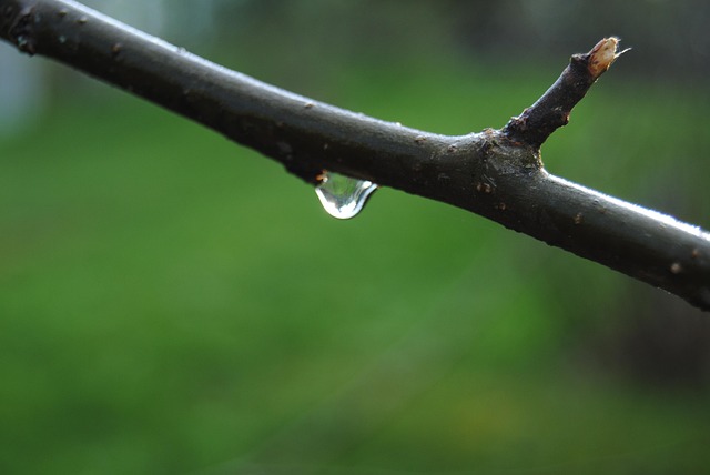 iv-drip-640x480-79847889.jpeg
