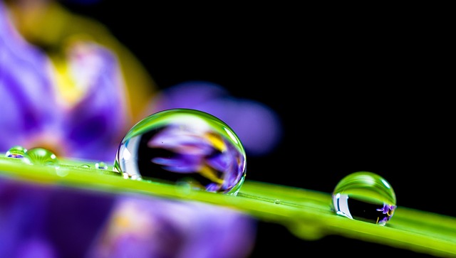 iv-drip-640x480-95300820.jpeg