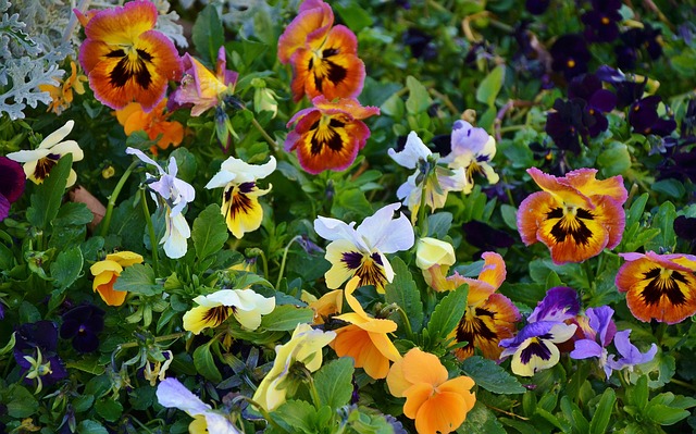 landscaping-640x480-10146936.jpeg