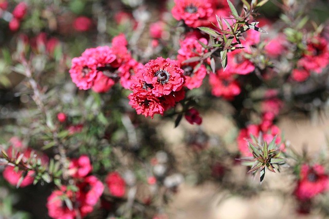 landscaping-640x480-11299352.jpeg